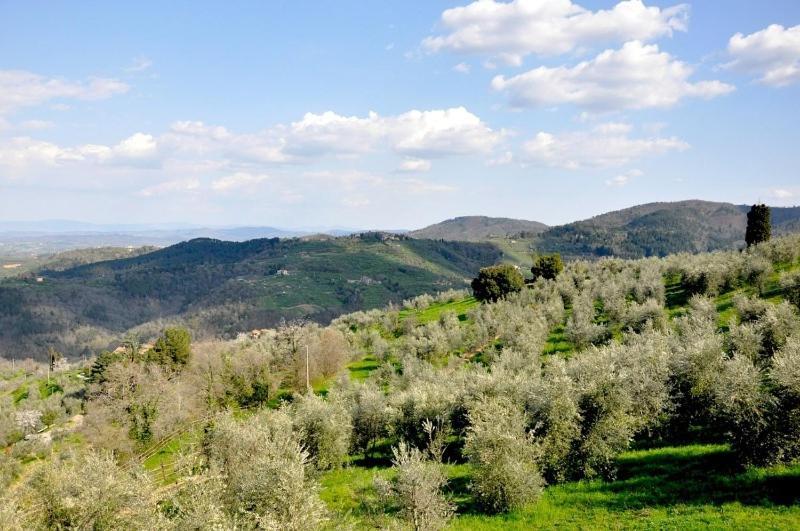 Agriturismo La Forra カヴリーリア 部屋 写真