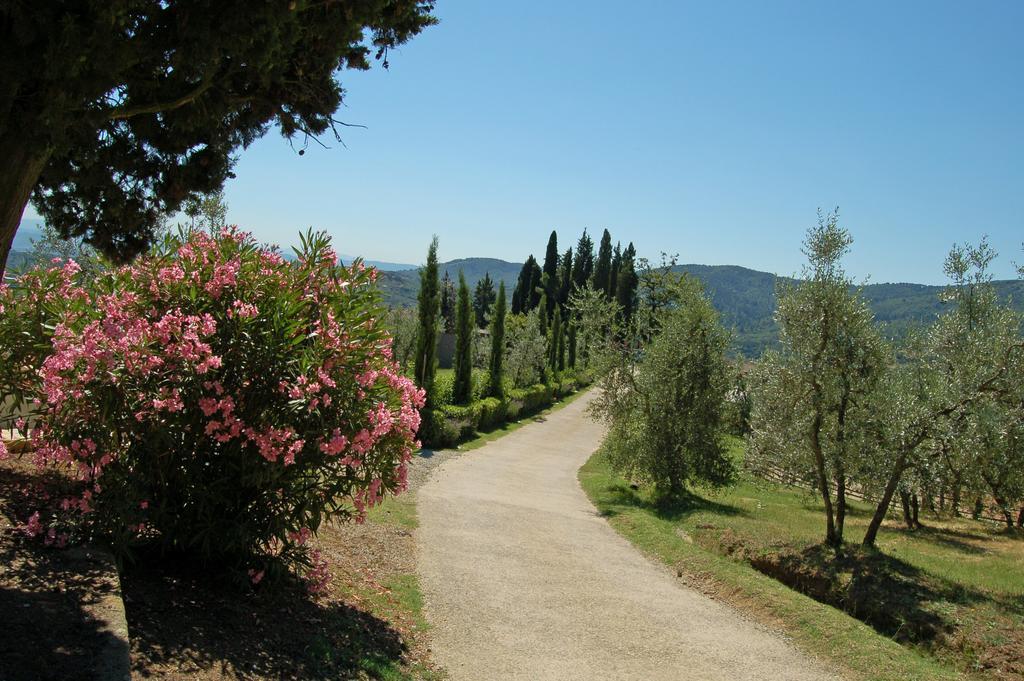 Agriturismo La Forra カヴリーリア エクステリア 写真